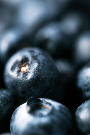 Beautiful blueberry close up background with deep shadowsの写真素材