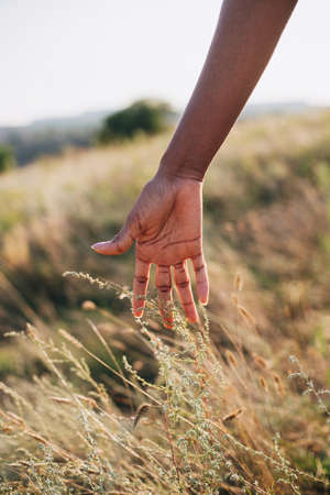 A hand of a black young woman nature summer autumn unity concept human ecoの写真素材