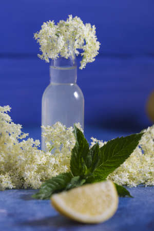 Elder lemonade - healthy and refreshing summer drink. Close up of homemade elderflower syrup in a bottle with elder flowers. Summer drink Hugo Champagne drink with elderflower syrup, mint and lime.の写真素材