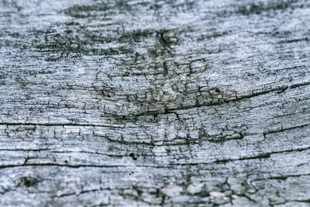 Vintage old wood background texture. Selective focus.Workpiece for design.