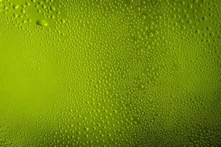 green, yellow water drops on green color abstract backgroundの写真素材