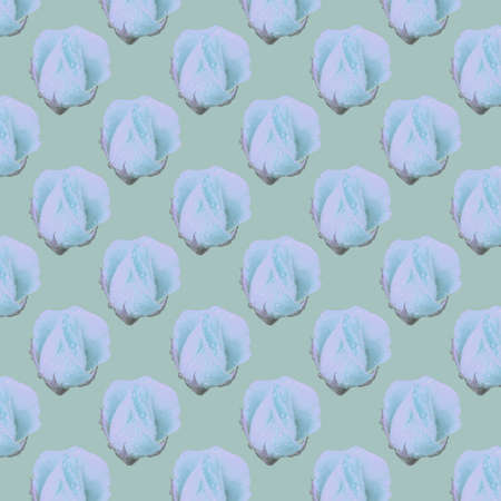 seamless pattern of blue rose with dew drops. Background with a colorful flowers on a olive background.の写真素材