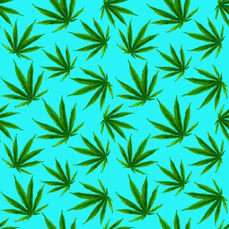 Marijuana gouache seamless pattern. Hemp marijuana, hemp leaves on blue background. Green smoke hashish narcotic.の写真素材