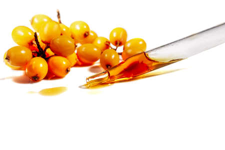 Sea-buckthorn oil spilling spot from pipette and Sea buckthorn berries isolated on white, Copy space. Close upの写真素材