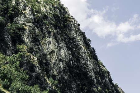 Mountain with forest in Montenegro close upの写真素材