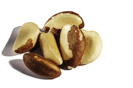 Brazil nuts isolated on white background closeup.の写真素材