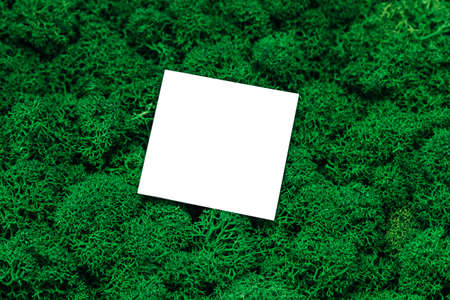 White Paper Copy Space on Green Moss Background, Office mock up, remote job. Wild nature, ecology concept. Sustainable, organic, zero waste lifestyle...の写真素材