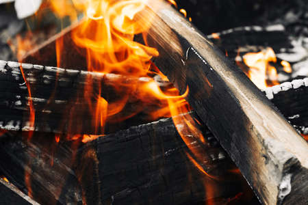 Bonfire in the forest. Closeup of blazing campfire, Campfire burning logs in large orange and yellow flames in close up of the wood aflame. Hot burning fireplace with flames and gloweing ember..の写真素材