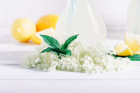 Bottle of homemade healthy organic elderflower cordial juice lemonade with fresh elderflowers and fresh ingredients for healthy and refreshing drinkの写真素材