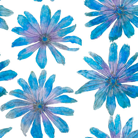 chicory, flowers, blossom, floret, flora, botany, nature, blue, summer, art, watercolour, design, styling, patternの写真素材