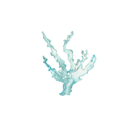 coral, underwater world, ocean, sea, nature, blue color, watercolour, the art, the illustration, clip artの写真素材