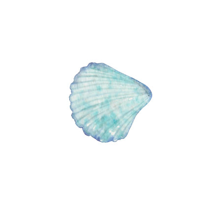 seashell, underwater world, ocean, sea, nature, blue color, watercolour, the art, the illustration, clip artの写真素材
