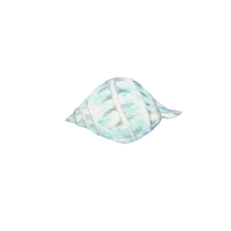 seashell, underwater world, ocean, sea, nature, blue color, watercolour, the art, the illustration, clip artの写真素材
