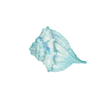 seashell, underwater world, ocean, sea, nature, blue color, watercolour, the art, the illustration, clip artの写真素材