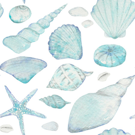 seashell, underwater world, ocean, sea, nature, blue color, watercolour, the art, the illustration, clip art, patternの写真素材