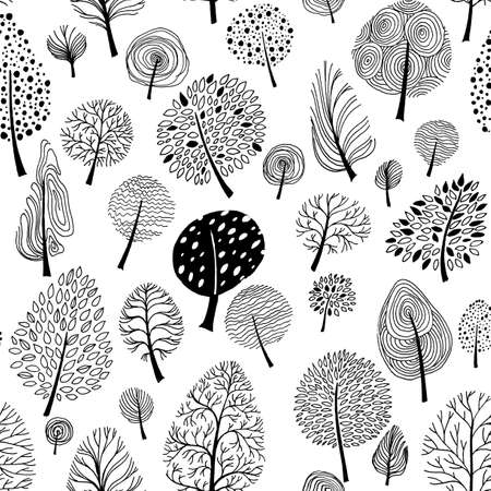 patterns black white city and natureの写真素材