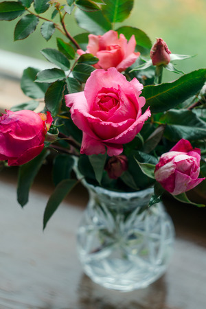 Homemade roses. Bouquet in a crystal vase on a wooden window. The concept of quiet and cozy village life, gardening and environmental friendlinessの写真素材