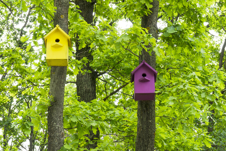 Two colorful birdhouses on trees in the spring forestの写真素材