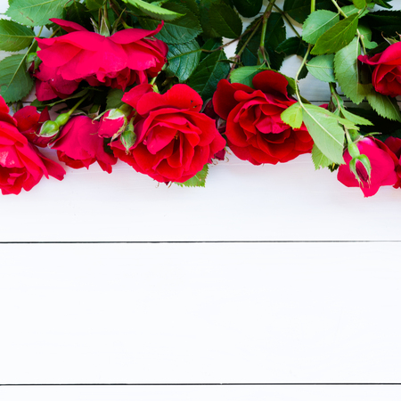Home roses on a white wooden table flat lay. With copy spaceの写真素材