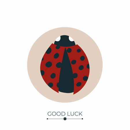 Ladybug lucky charmのイラスト素材