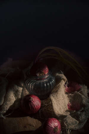 Onion still life dutch style paintingの写真素材