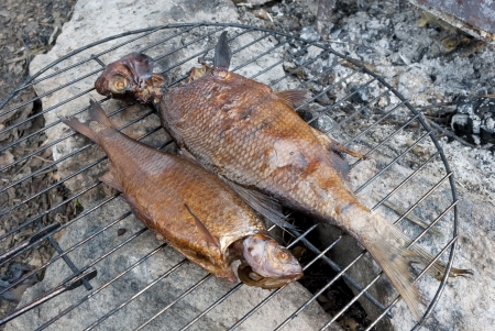 Two smoked fish on barbecue の写真素材
