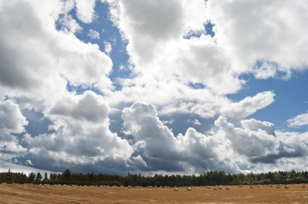 The great blue sky with beautiful clouds and haystacks on the field with cut grassの写真素材