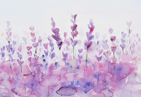 Lavendel watercolor background. Purple and pink flowers.の写真素材
