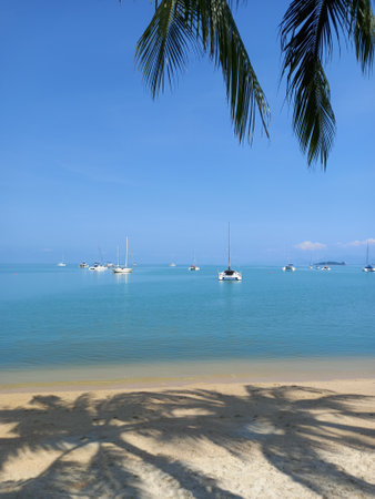 Sailboats and palm trees on the beach in Koh Samui, Thailand. Ocean landscape as background.の写真素材