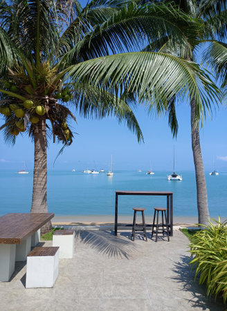 Table and chair on the beach with palm tree and yachts.の写真素材