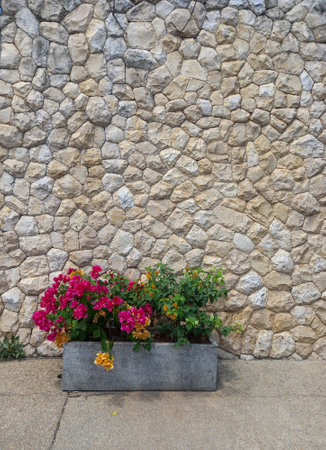 Magenta, orange and yellow flowers in a pot on the stone wall background with copy space.の写真素材