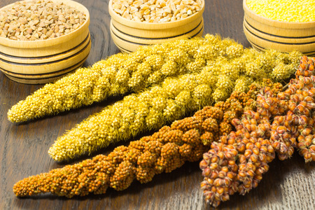 Twigs sorghum, red and yellow millet. Wheat, buckwheat and millet in the wooden basketの写真素材