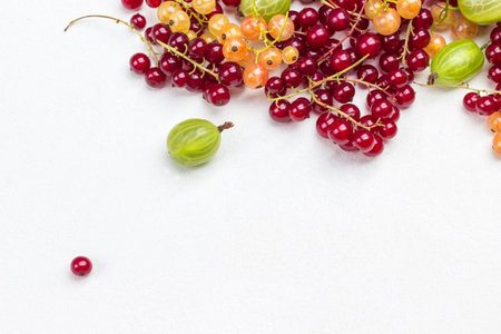 Sprigs of white and red currants, gooseberries on white. Berry background. Flat lay. Copy spaceの写真素材
