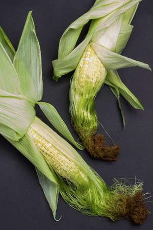 Two ears of corn with leaves and corn silk. Black background. Flat layの写真素材