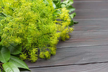 Dill sprigs with seeds. Cherry tree leaves and parsley. Greens as seasoning for fermenting vegetables. Wooden background. Top view. Copy spaceの写真素材