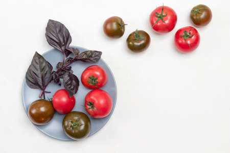 Fresh tomatoes and sprigs of blue basil on plate. Tomatoes on table. White background. Copy space. Flat layの写真素材