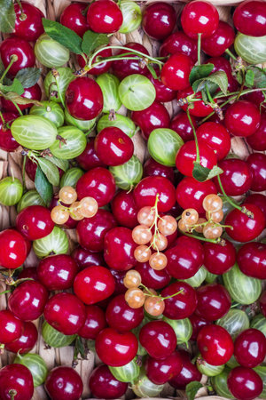 Set of fresh berries, cherries, currants and gooseberries. Berry background. Flat lay