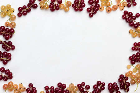 Red and white currants around the edges of white background. Berry background. Copy space. Flat layの写真素材