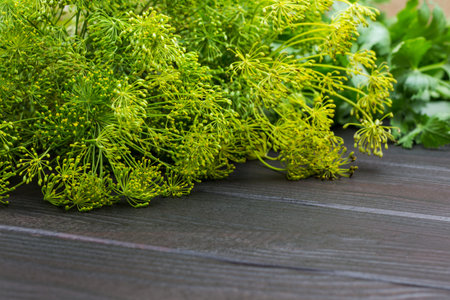 Dill sprigs with seeds and parsley. Greens as seasoning for fermenting vegetables. Wooden...
