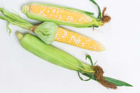 Two peeled ear of corn. Unpeeled ear of corn with leaves. White background. Flat layの写真素材