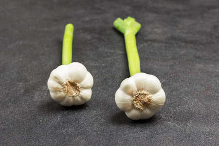 Two heads of garlic with stalks. Close up. Black background. Top view.の写真素材