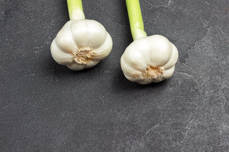 Two heads of garlic with stalks on black background. Copy space. Top view.の写真素材