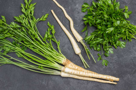 Parsley with leaves and roots. Bunch of parsley leaves. Flat lay. Black backgroundの写真素材