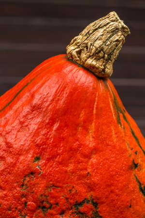 Orange pumpkin with dry short stem. Part of the frame.の写真素材