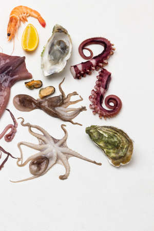 Oyster in the shell, octopus tentacles, baby octopus on white. flat lay. copy spaceの写真素材