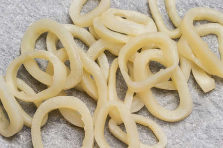 Squid cut into rings on white paper. flat layの写真素材