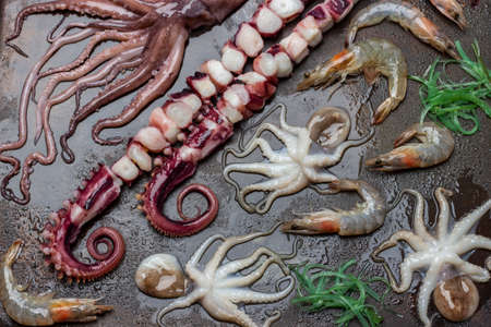 Octopus tentacles, baby octopuses, shrimp and seaweed on wet rusty metal surface. flat lay.の写真素材