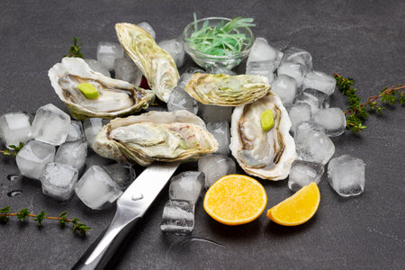 Oysters in shells on heap of ice. Knife, lemon slices, thyme sprigs on table. top view. black backgroundの写真素材
