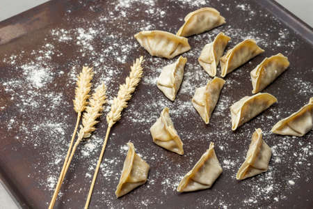 Raw gyoza dumplings and wheat ears sprinkled with flour on metal tray. top view.の写真素材