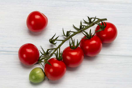 Branch of tomato on a white background. top viewの写真素材